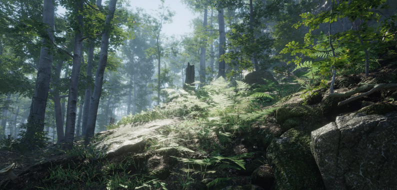 Forest Environment Dynamic Nature