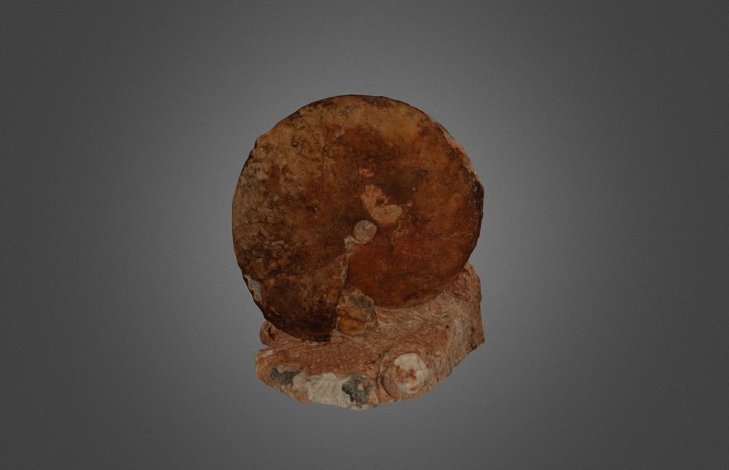 OEPG01_3 