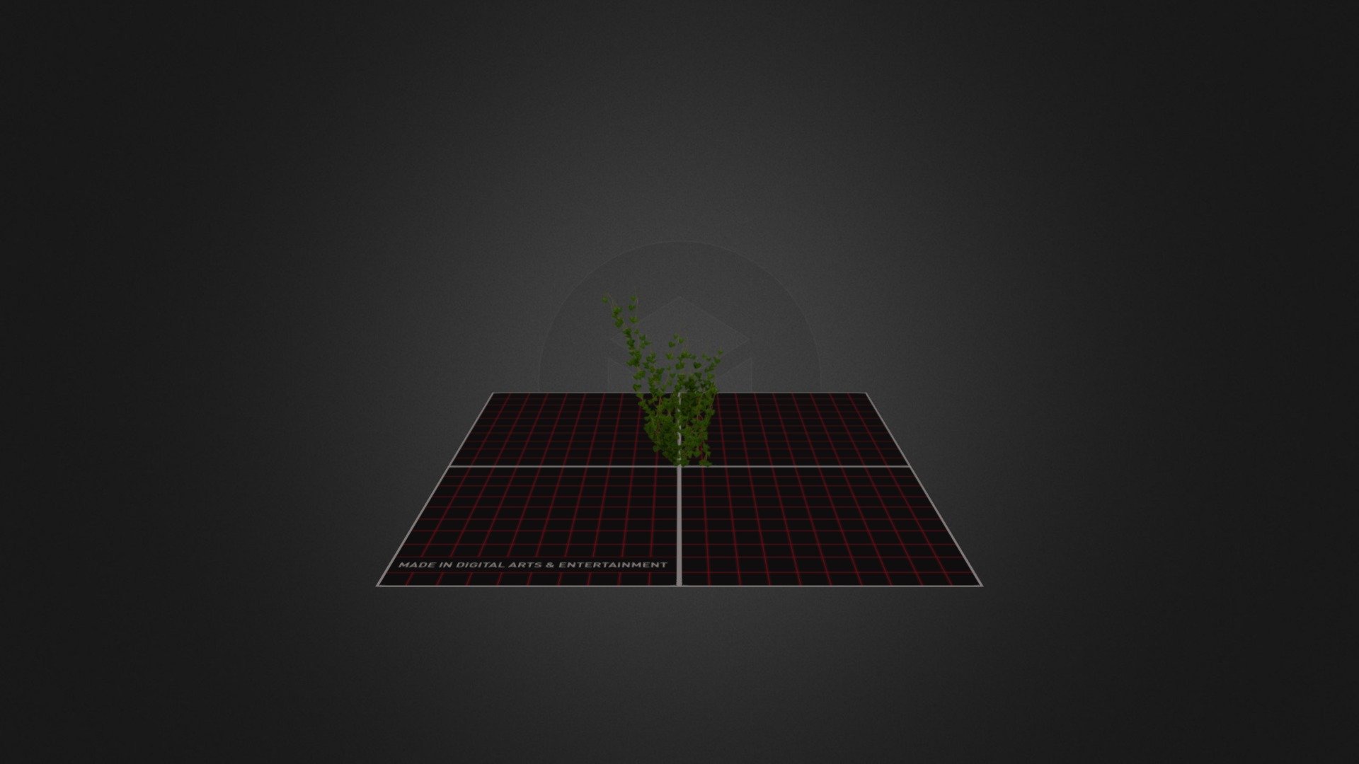 Ivy_02 