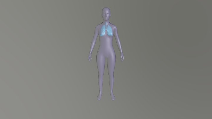 SimpleBody_Test1
