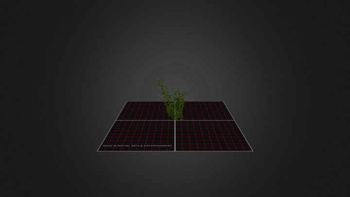 Ivy_02