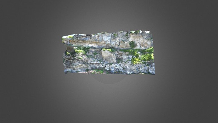 Muro 1